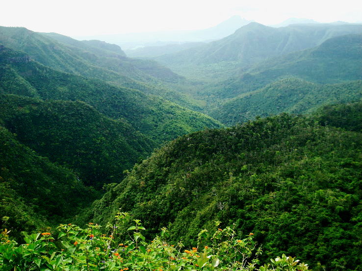 5. Black River Gorges National Park
